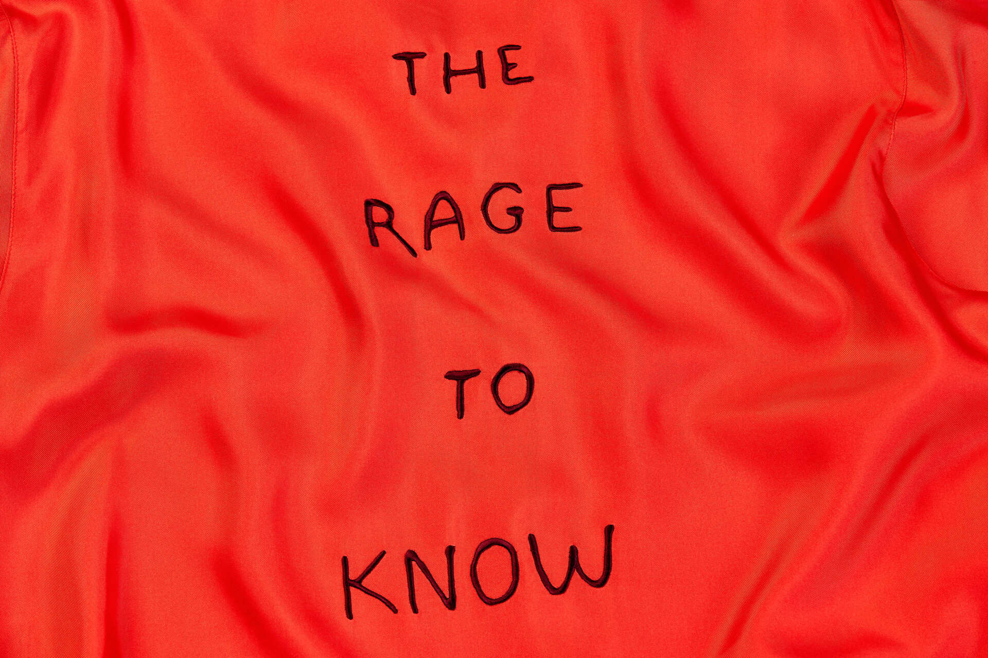 THE RAGE TO KNOW © 2022 Jenny Holzer, member Artist Rights Society (ARS)